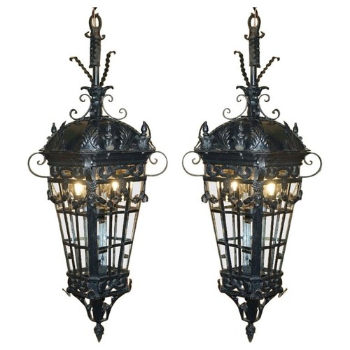 Fine pair extra large - of,