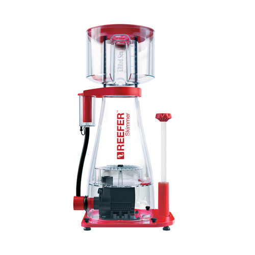 Red sea reefer skimmer - sea,
