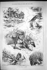 Vecchio 1883 Giardino