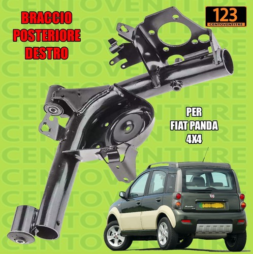 Braccio posteriore destro - braccio,