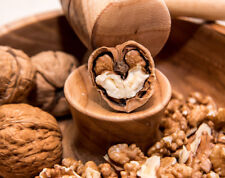 NOCI SGUSCIATE   500GR - 1KG - 5KG