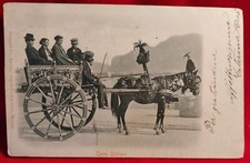 CARTOLINA CARRO SICILIANO 1901 ( C 41 )
