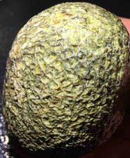 Raro esemplare cristallo