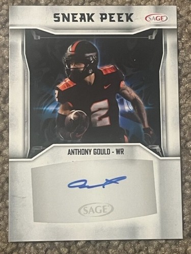 Anthony gould 2024 sage - 2024, sneak