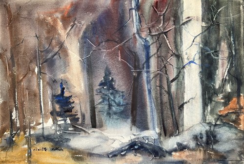 The woods charlotte - the, woods–charlotte