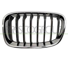 Griglia Radiatore Sinistra Bmw
