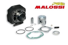 GRUPPO TERMICO MALOSSI 47