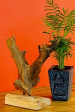 Teak Radica Scultura Massiccio