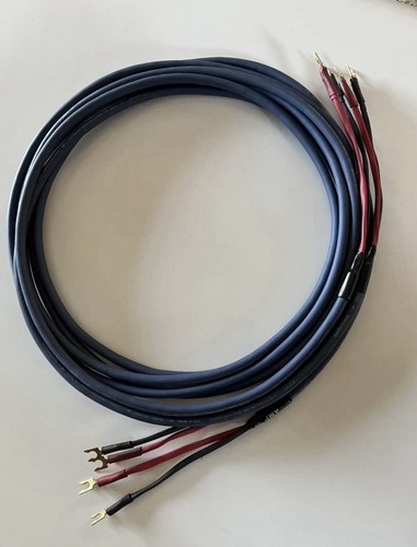 Audioquest tipo cavo - tipo, 4+