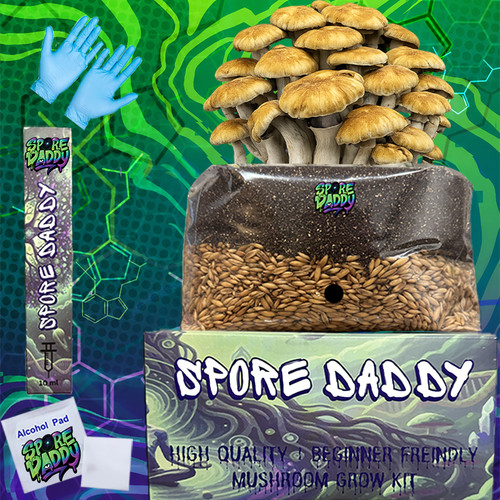 Kit coltivazione funghi spore - funghi,