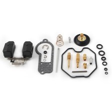 Carburetor Repair Rebuild Kit