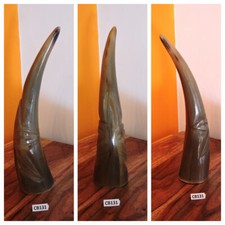 CORNO bue africano originale