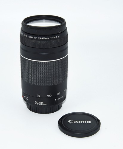 Obiettivo canon zoom lens - canon,