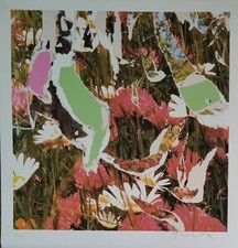 Mimmo Rotella Serigrafia