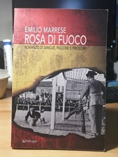 Romanzo-Emilio Marrese-Rosa di