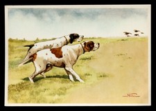 POINTER ENGLISH Brace Working Dog Art Picture Postcard Mario Norfini Italian