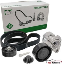 Kit Cinghia Trapezoidale INA