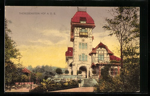 Cartolina theresienstein - cartolina,