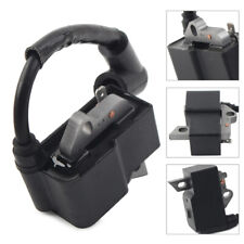 Gruppo bobina accensione per