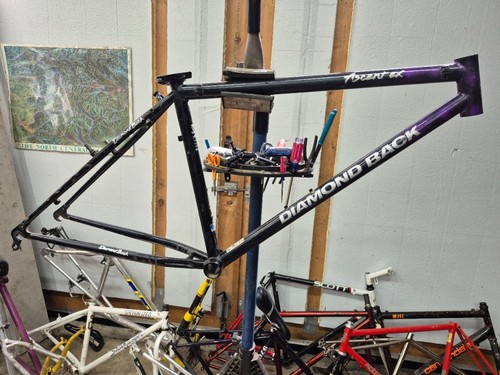 Vintage diamond back ascent - ascent, ex