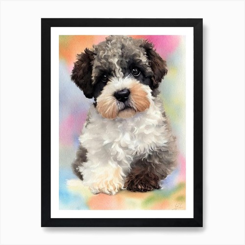 Lagotto romagnolo acquerelli - lagotto,