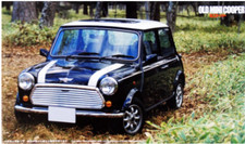 1/24 Rover Mini Cooper 1.3i