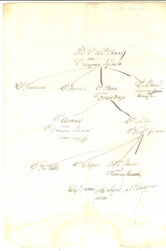 1800 modica albero - modica, (rg)
