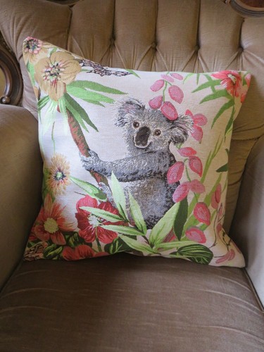 Carino ozzie australiano koala - carino,