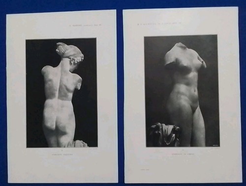 1900 aphrodite cirene - aphrodite,
