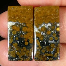 24,20 ct. Coppia di cuscini in