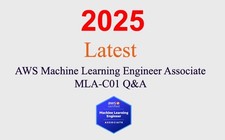 AWS Machine Learning Engineer
