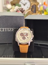 Citizen Promaster Pilot Chrono