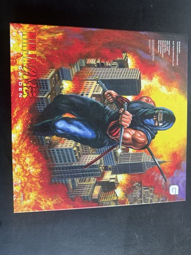 Ninja gaiden the - the, definitive