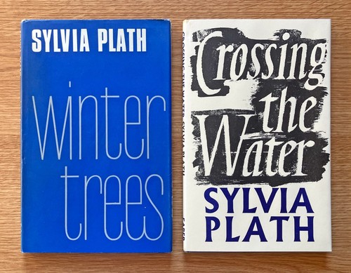 Sylvia plath winter trees - sylvia, plath,