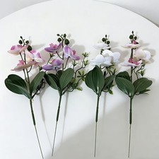 Farfalla floreale senza