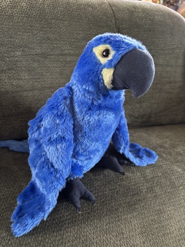 Peluche pappagallo ara - ara, ~