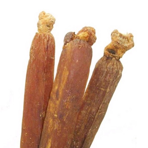 Radici ginseng secco - radici,