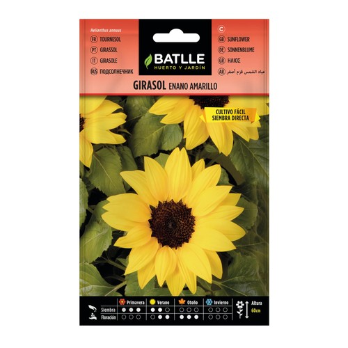 Battle semi fiori girasole - fiori,
