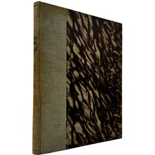 Pistole Fucili Armi Storiche Prima Seconda guerra mondiale Small Arms Profile