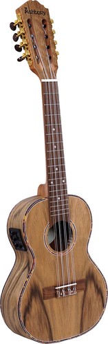 Ashbury ukulele tenore 8 - ashbury, au-89