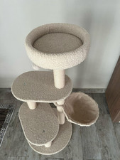 tiragraffi gatto grande