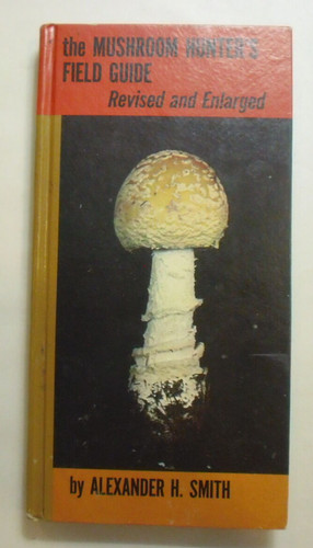 The mushroom hunter field - the, hunter's