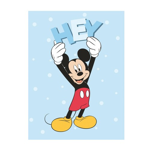 Plaid topolino disney - in, pile