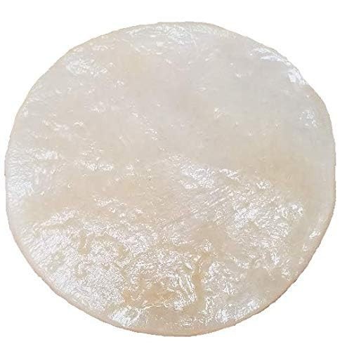 Matcha kombucha scoby starter - matcha,