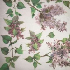 Carta di Riso Tovagliolo