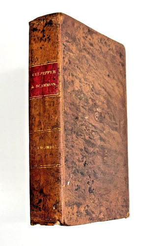 1825 culpepper family - 1825, culpepper's