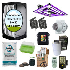 grow box completo coltivazione
