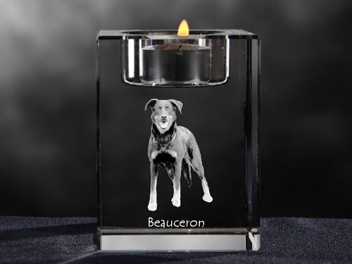 Beauceron candelabro in - beauceron,,