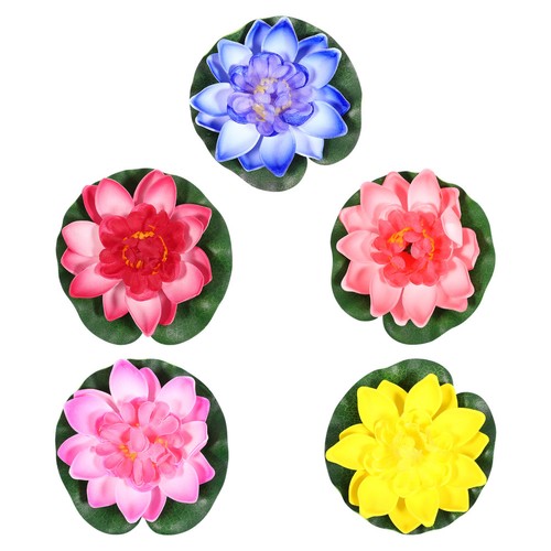 Piante laghetto fiori loto - laghetto,