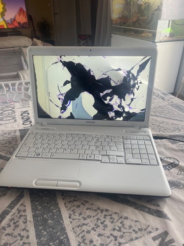 Toshiba satellite c660 - (a545),